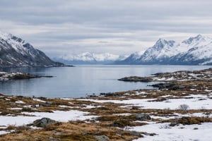 Nordic Winter Landscape-1-2