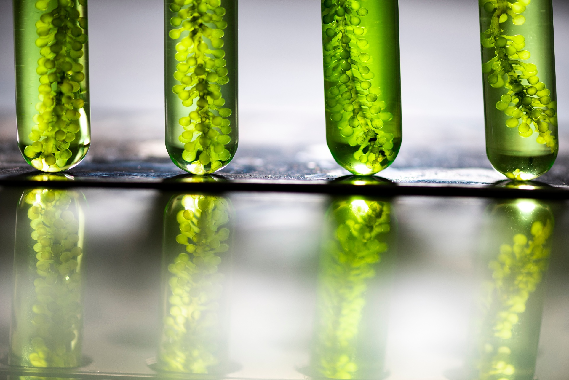 Metanoli uraauurtavana merenkulun polttoaineratkaisuna